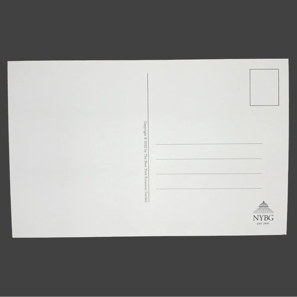 NWOT 100 PCS.Roses Postcards In A Box